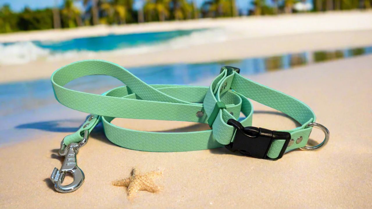 Is Coated Webbing Right for Your Project? Key Considerations